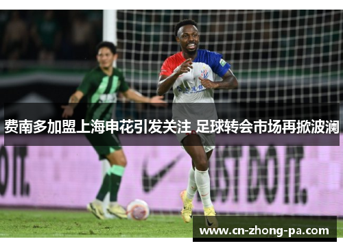 费南多加盟上海申花引发关注 足球转会市场再掀波澜 费南多加盟上海申花引发关注 足球转会市场再掀波澜